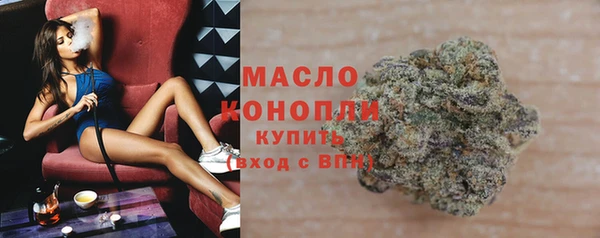 МДПВ Инсар