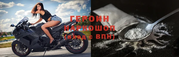 прущие грибы Инта