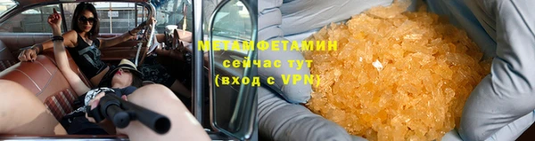 прущие грибы Инта