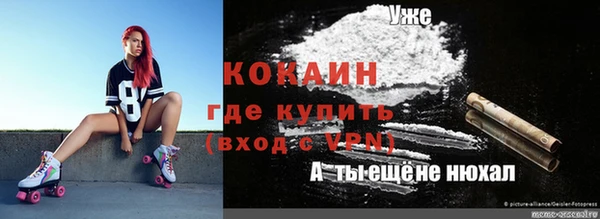 прущие грибы Инта
