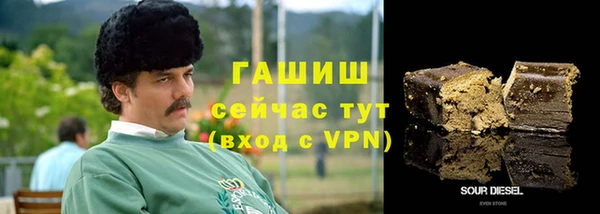 МДПВ Инсар