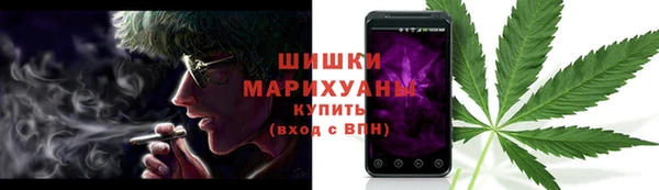 МДПВ Инсар