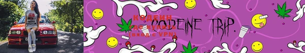 прущие грибы Инта