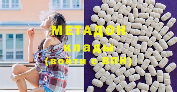 прущие грибы Инта