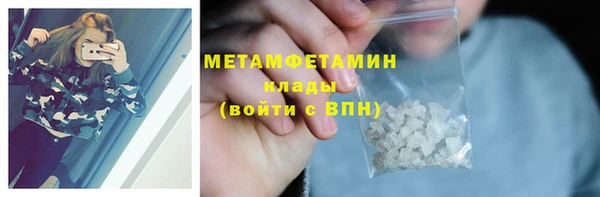 прущие грибы Инта