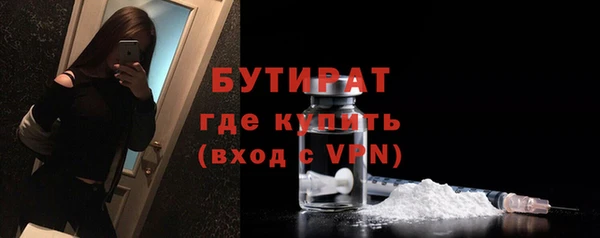 прущие грибы Инта