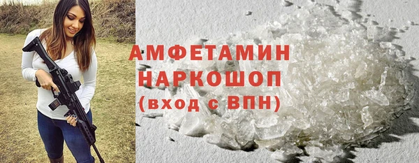 МДПВ Инсар