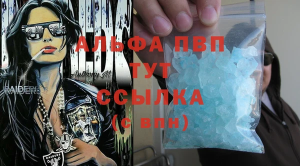 прущие грибы Инта