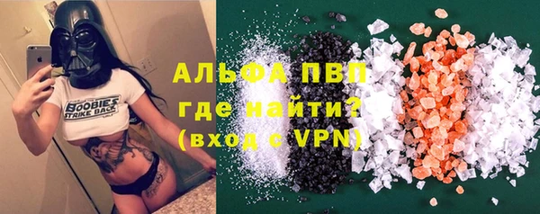 прущие грибы Инта