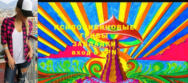 прущие грибы Инта