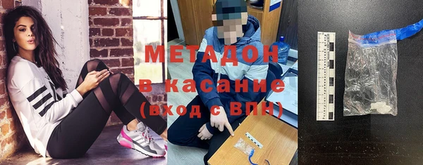 прущие грибы Инта