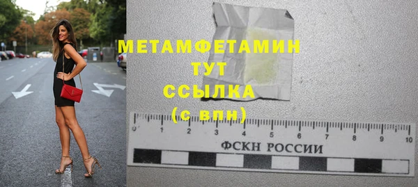 прущие грибы Инта