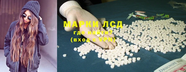 МДПВ Инсар