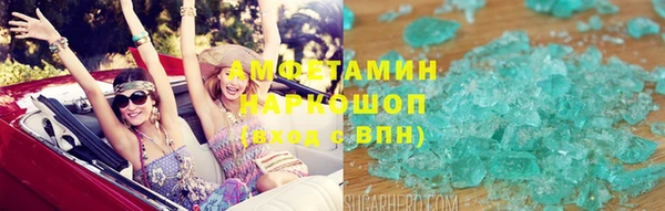 прущие грибы Инта