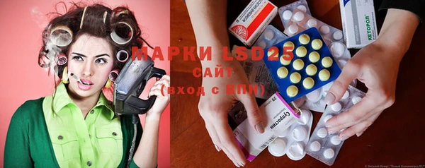 МДПВ Инсар
