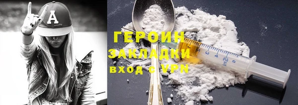 прущие грибы Инта