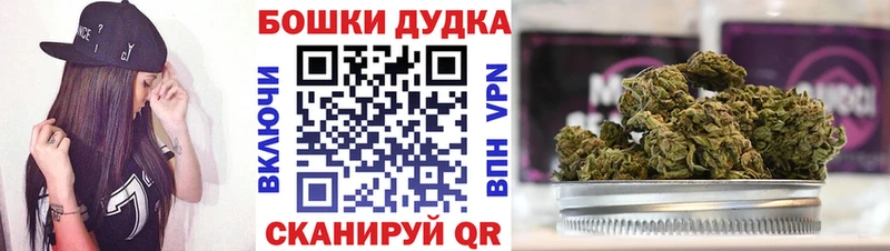 Купить закладки  Качканар  Бошки Шишки Amnesia 